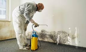 Best Mold Remediation for Healthcare Facilities  in Village Of The Branch, NY